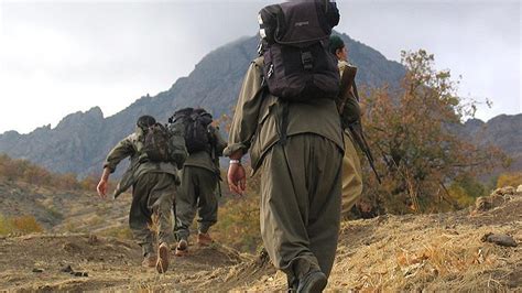 2 PKK'lı terörist teslim oldu - Son Dakika Haberleri